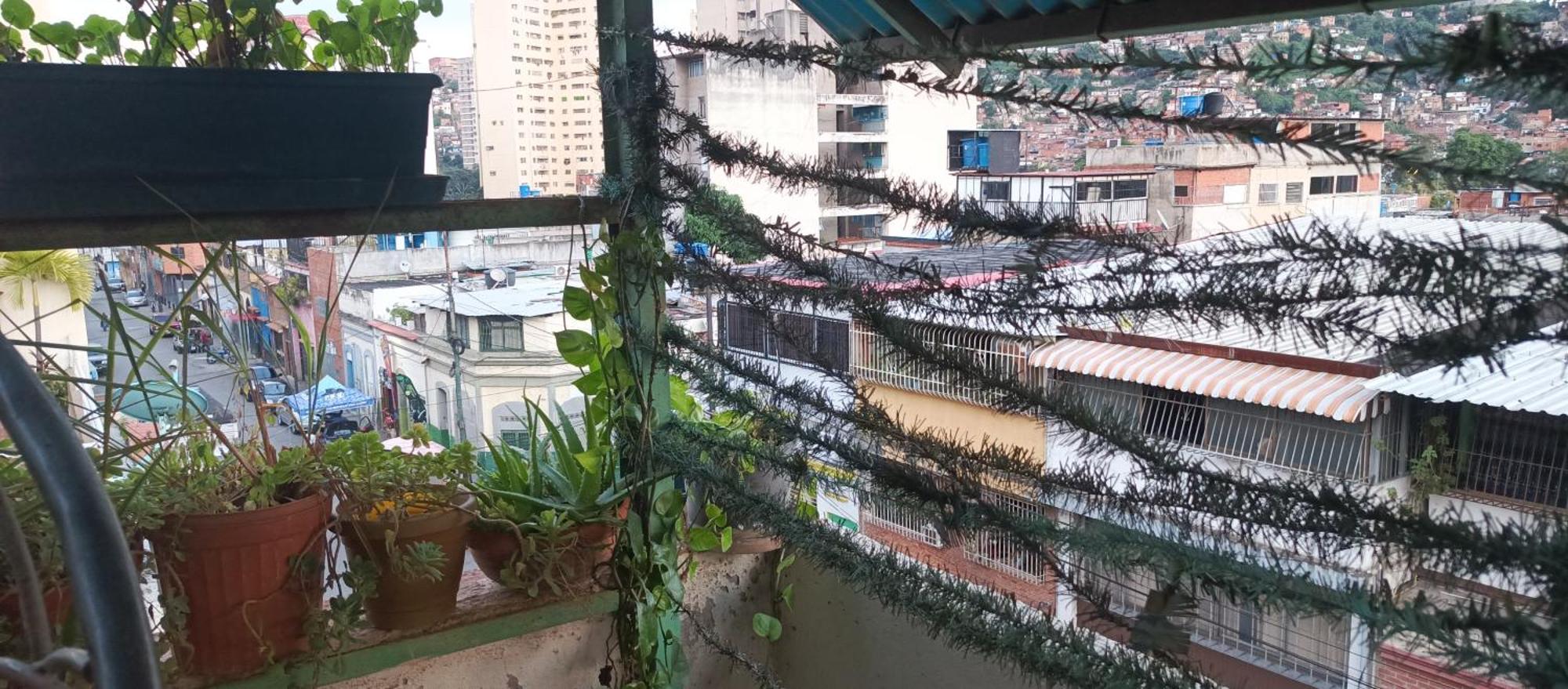 Hotel Don Gato Caracas Dış mekan fotoğraf